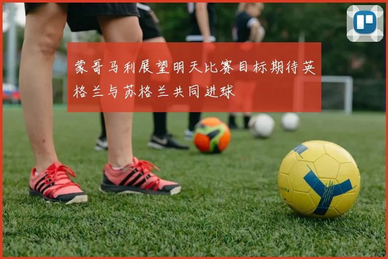 蒙哥马利展望明天比赛目标期待英格兰与苏格兰共同进球